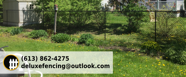 chain-link-fence-in-ottawa