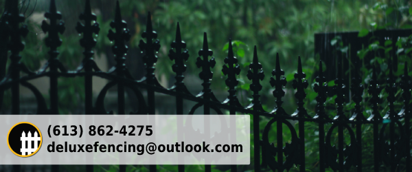 wrought-iron-fence-in-ottawa