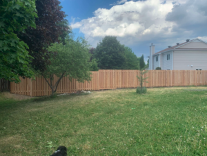 western-red-cedar-fence-in-ottawa