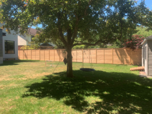 western-red-cedar-fence-in-ottawa